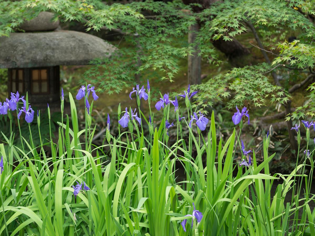 Nanzenji Sando Kikusui Kyoto Exterior photo